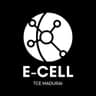 Entrepreneurship Cell, TCE logo